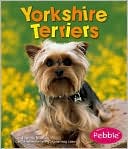 Yorkshire Terriers