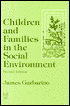 Children and Families in the Social Environment: Second Edition