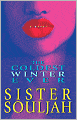 The Coldest Winter Ever