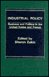 Industrial Policy: Business and Politics in the United States and France