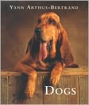 Dogs