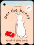 Pat the Bunny Touch & Play Cards