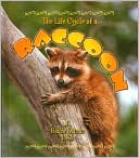 Life Cycle of a Raccoon (Life Cycle Series)