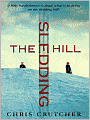 The Sledding Hill