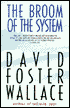 The Broom of the System