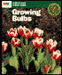 Growing Bulbs