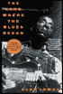 Land Where the Blues Began