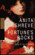Fortune's Rocks