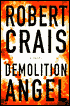 Demolition Angel
