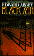 Black Sun: A Novel