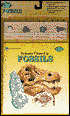 Science Close Up: Fossils