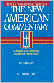 The New American Commentary - Numbers