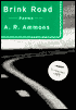 Brink Road: Poems