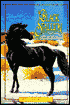 The Black Stallion