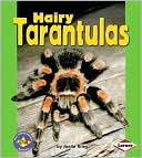 Hairy Tarantulas