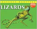 Lizards