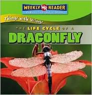 Dragonflies+life+cycle+for+kids