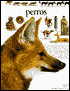 Perros