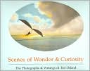 Scenes of Wonder and Curiosity: The Photographs and Writings of Ted Orland