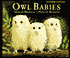 Owl Babies