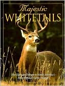 Majestic Whitetails