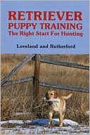 Retriever Puppy Training: The Right Start for Hunting