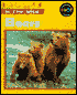 Bears