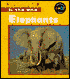 Elephants: Solids, Liquids and Gases