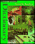 Scott Foresman Intermediate Dictionary