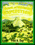 Book of Mormon Expedition