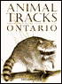 Animal Tracks of Ontario