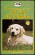 The Proper Care of Golden Retrievers