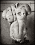 21st: The Journal of Contemporary Photography