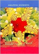 Inside a Coral Reef