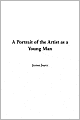Portrait of the Artist as a Young Man