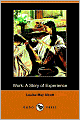 Work: A Story of Experience