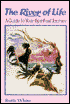 River of Life: A Guide to Your Spiritual Journey