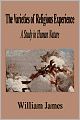 The Varieties of Religious Experience: A Study in Human Nature
