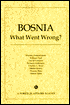 Bosnia: What Went Wrong