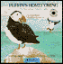Puffin's Homecoming: The Story of an Atlantic Puffin