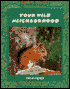 Your Wild Neighborhood