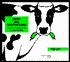 Cows Are Vegetarians!: A Book for Vegetarian Kids