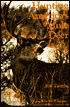 Hunting America's Mule Deer