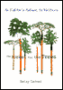 The Forest for the Trees: An Editor's Advice to Writers