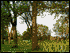 Nauvoo
