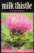 Milk Thistle: The Liver Herb