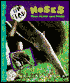 Noses That Plow and Poke