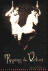 Tipping the Velvet: A Novel