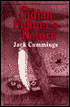 Indian Fighter's Return