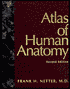 Atlas of Human Anatomy